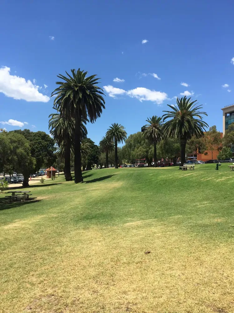 南宫体育- 澳大利亚选手 